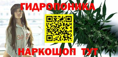 спиды Кимры