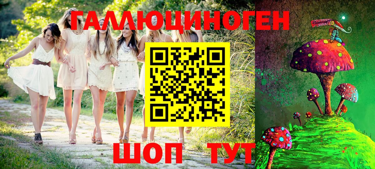 Галлюциногенные грибы Psilocybe Балтийск