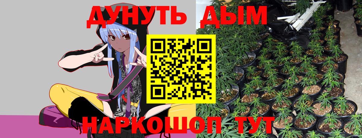 Каннабис индика  Вход с VPN  МАРИХУАНА SATIVA & INDICA  Балтийск 